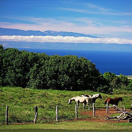 Kohala Lodge- Vacation Rental House Hawi Exterior foto