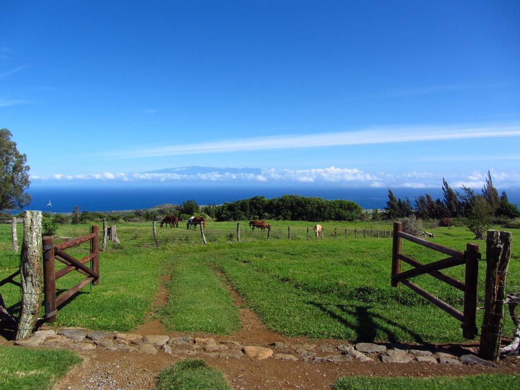 Kohala Lodge- Vacation Rental House Hawi Exterior foto