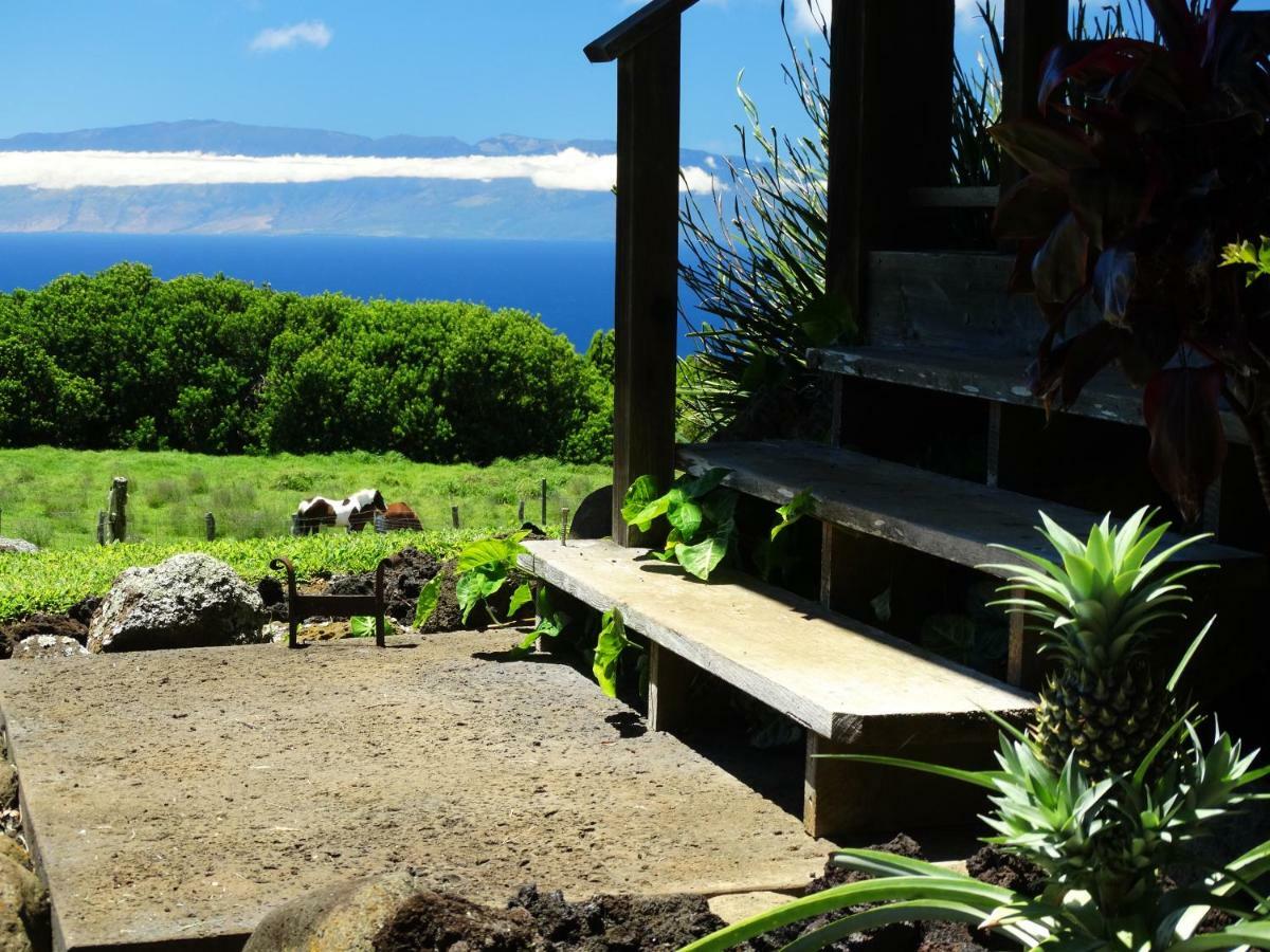 Kohala Lodge- Vacation Rental House Hawi Exterior foto