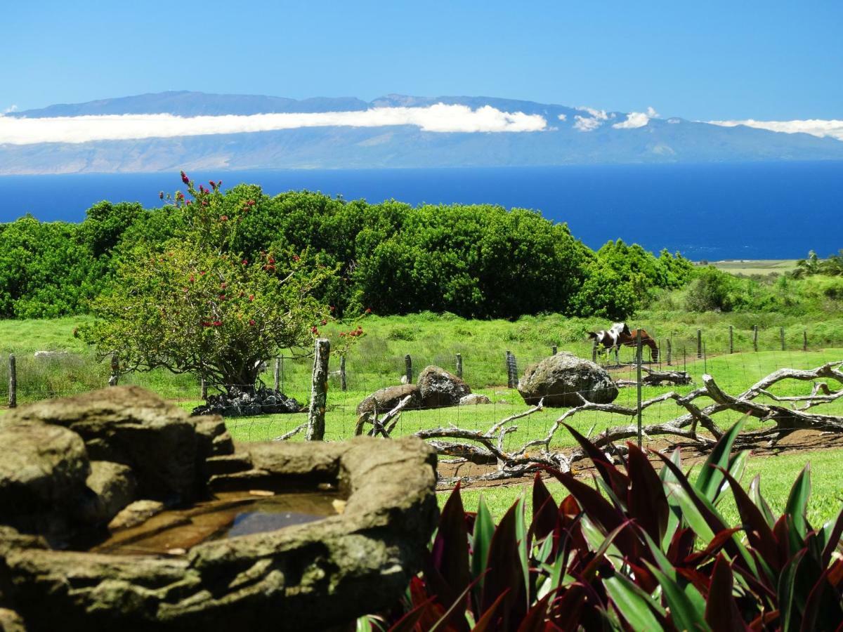 Kohala Lodge- Vacation Rental House Hawi Exterior foto