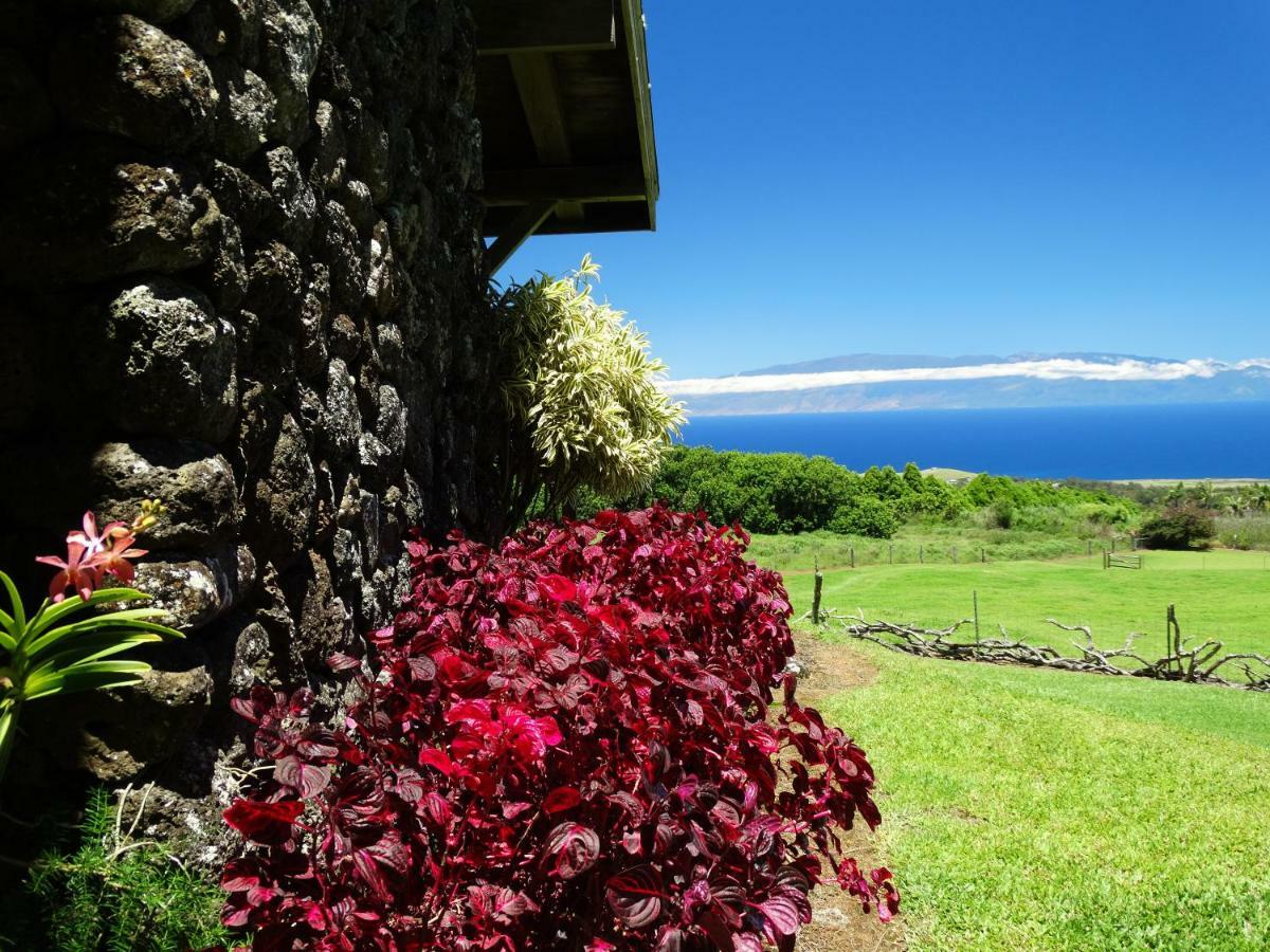 Kohala Lodge- Vacation Rental House Hawi Exterior foto