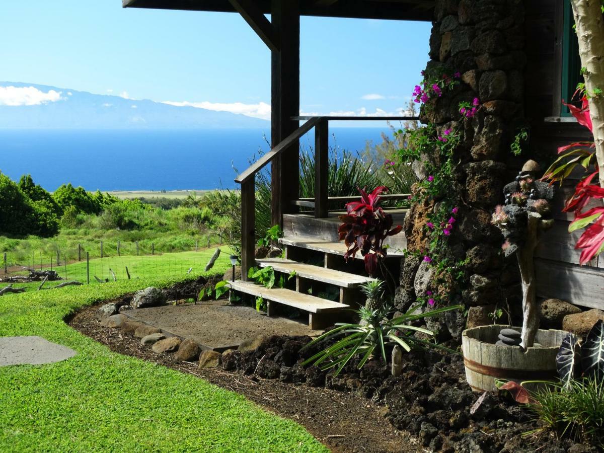 Kohala Lodge- Vacation Rental House Hawi Exterior foto